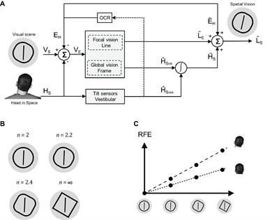 Panoramic Uncertainty in Vertical Perception